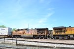 UP 6081